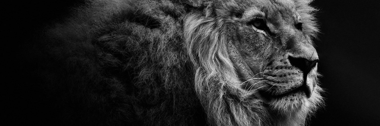 Boomerj40's profile banner image