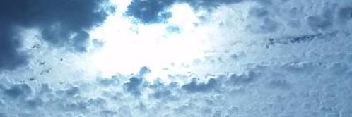 50arboc's profile banner image