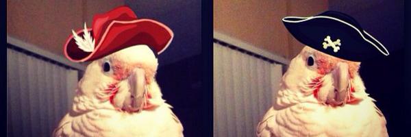 sarahBmorgan Profile Banner