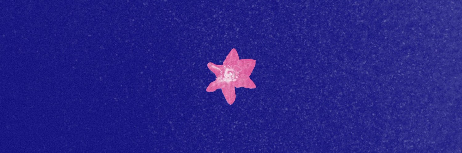 lele banner