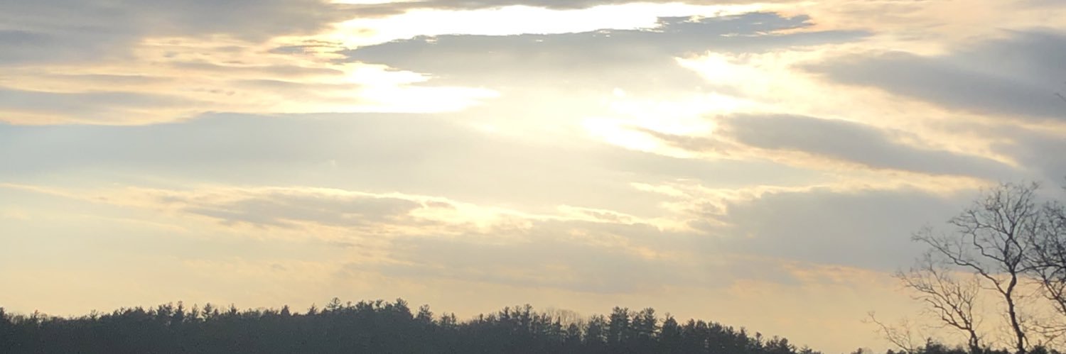 Patricia Mayabb banner