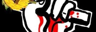 AnaHerrmann3's profile banner image