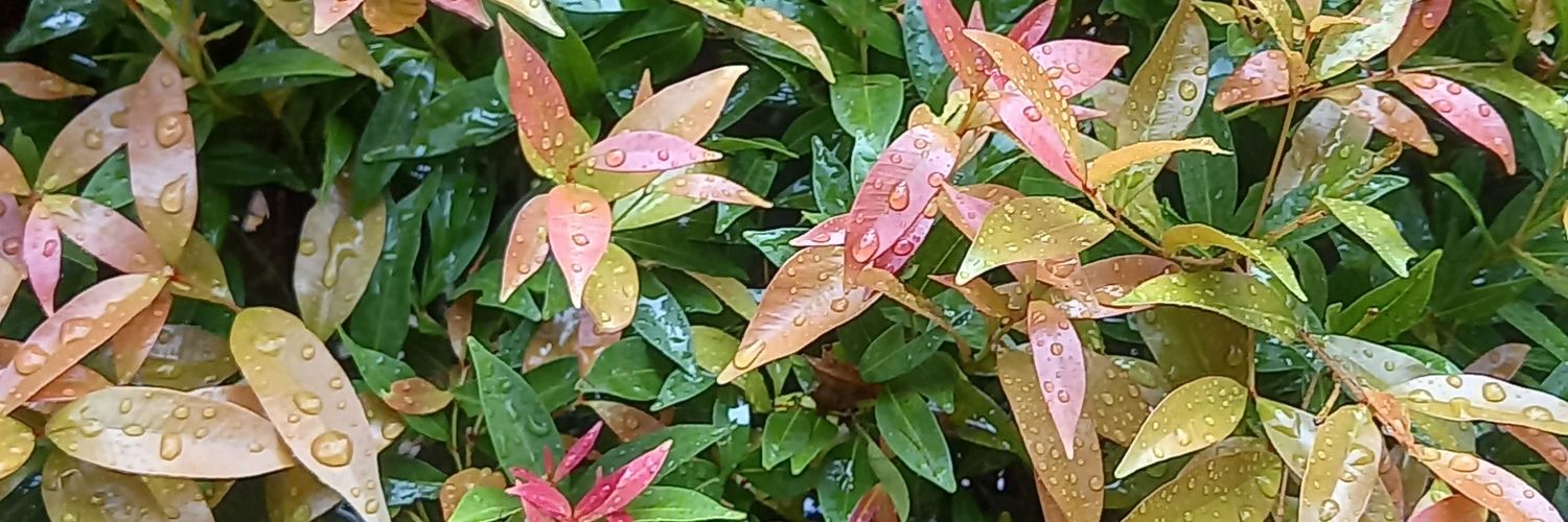 _justarni_'s profile banner image