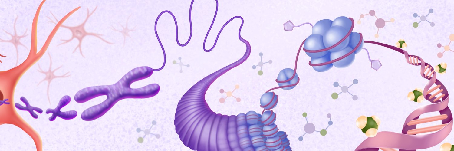 Ni-ka's banner