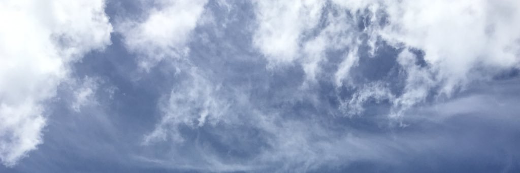 NicoleeBranch's profile banner image