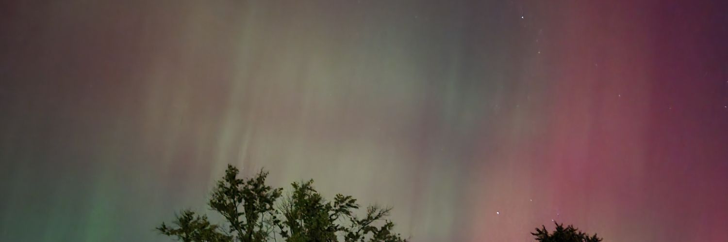 AnnnaaGray's profile banner image
