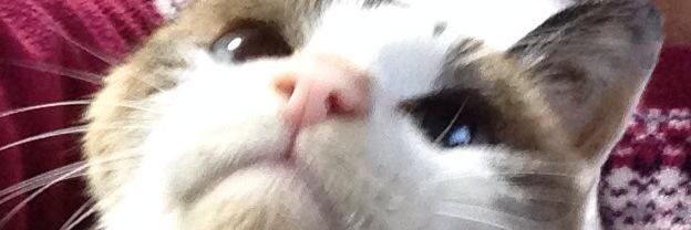 uminy's profile banner image