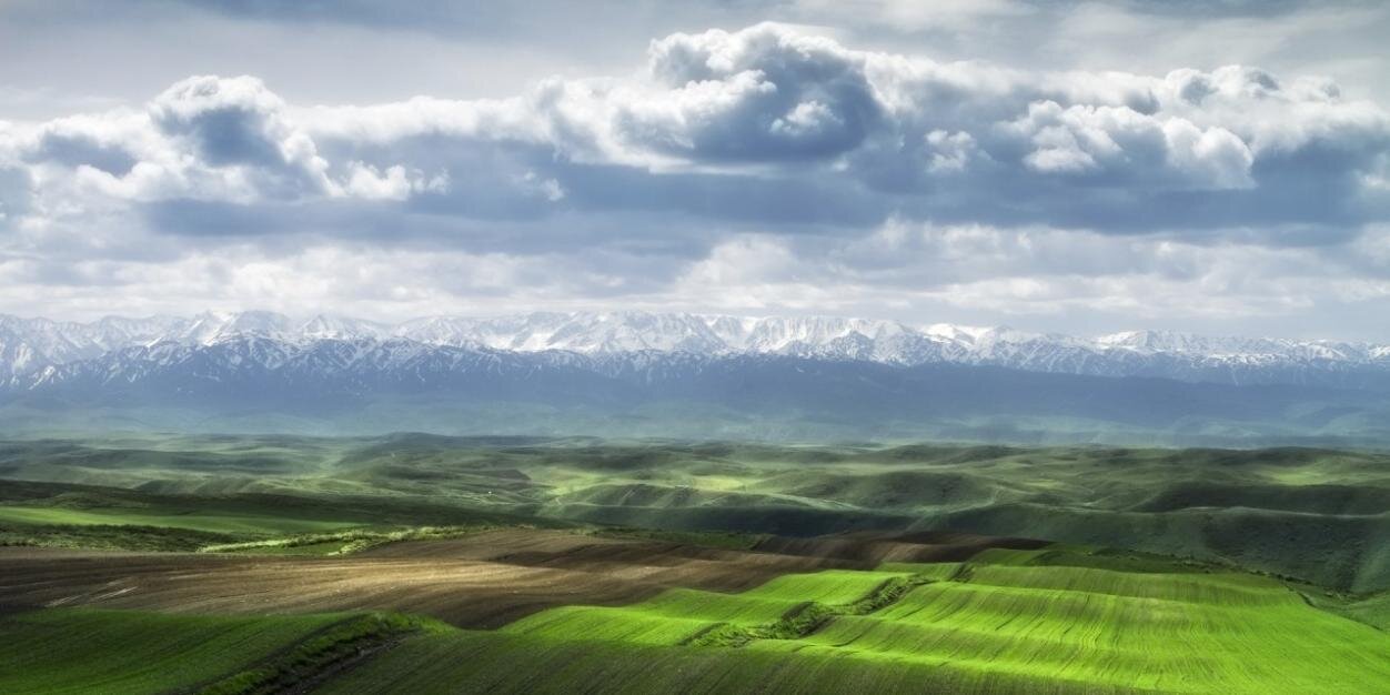 AlexQCai's profile banner image