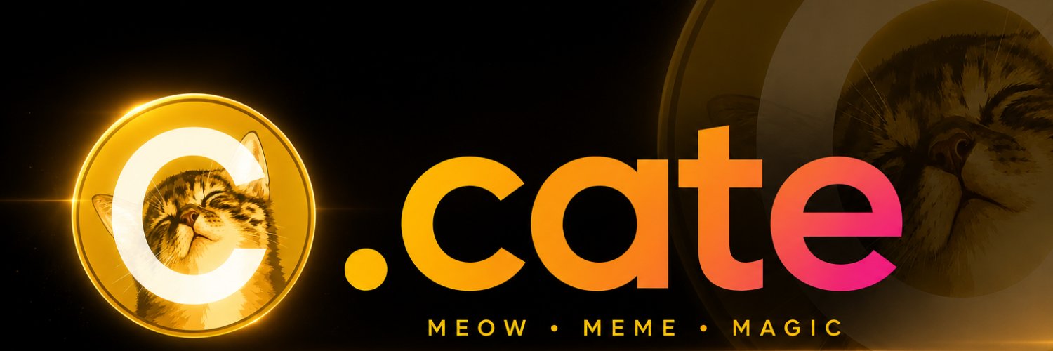 catedotsns's profile banner image