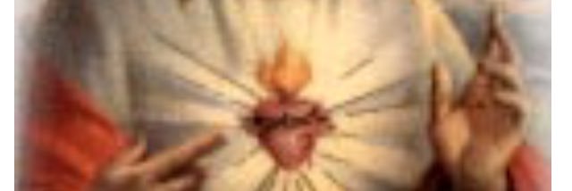 adacohenl's profile banner image