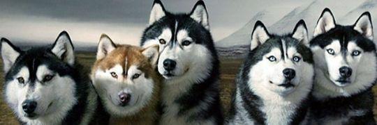 kheryn_nm's profile banner image