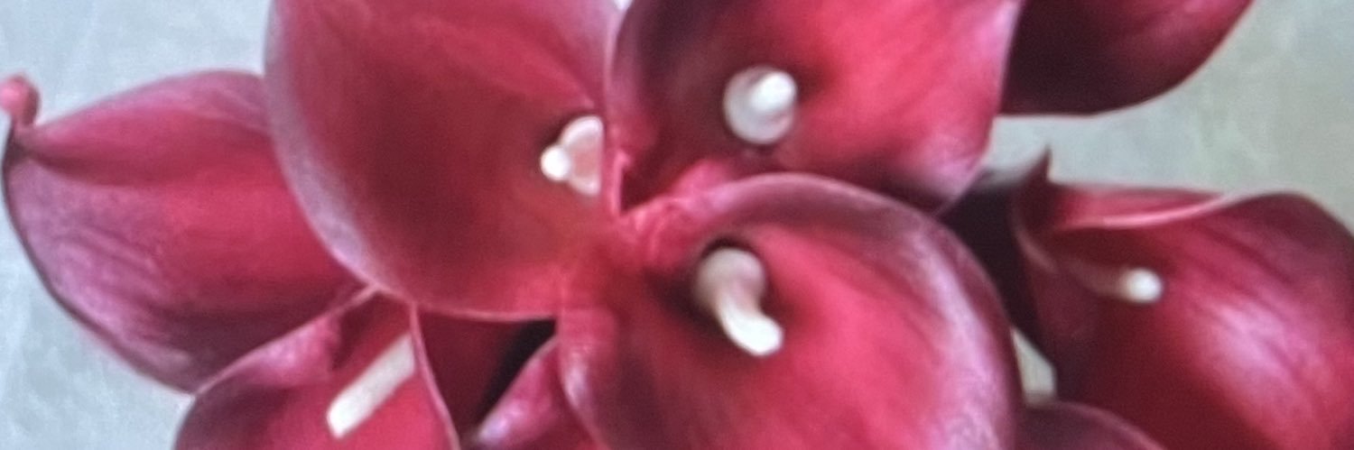 Revdrdana's profile banner image