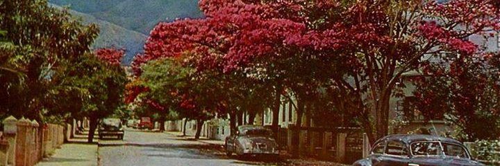 🇻🇪 Naciønalismø Criøllø 🇻🇪 banner