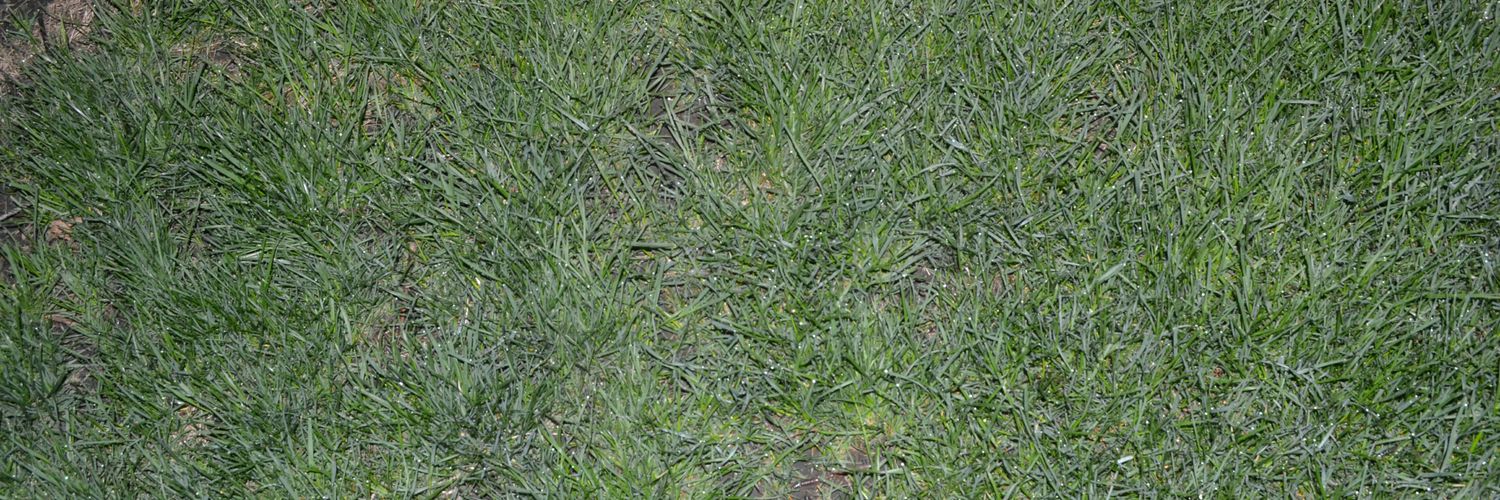 rvrsnot's profile banner image