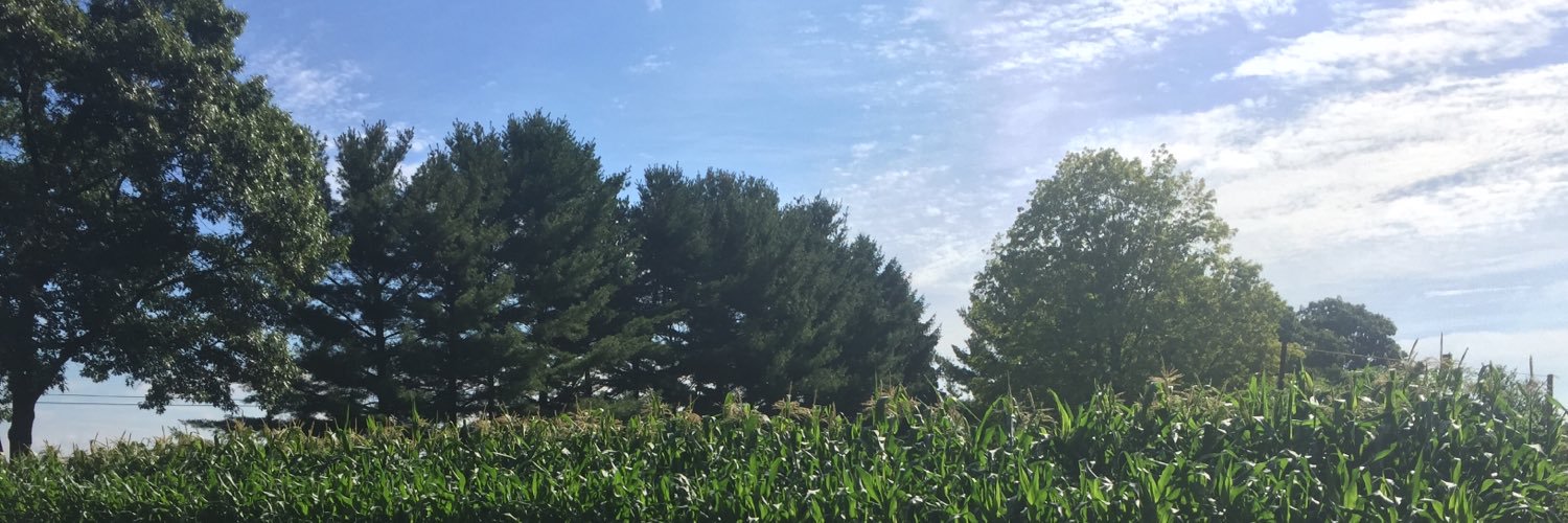ashleyleiner's profile banner image