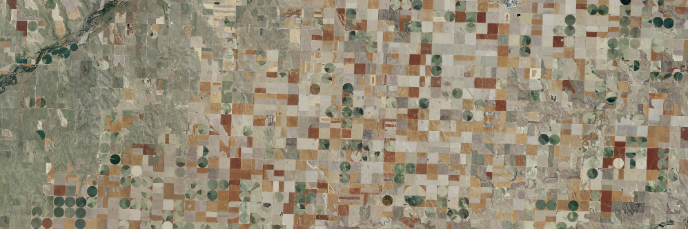 Nathan Hendricks banner