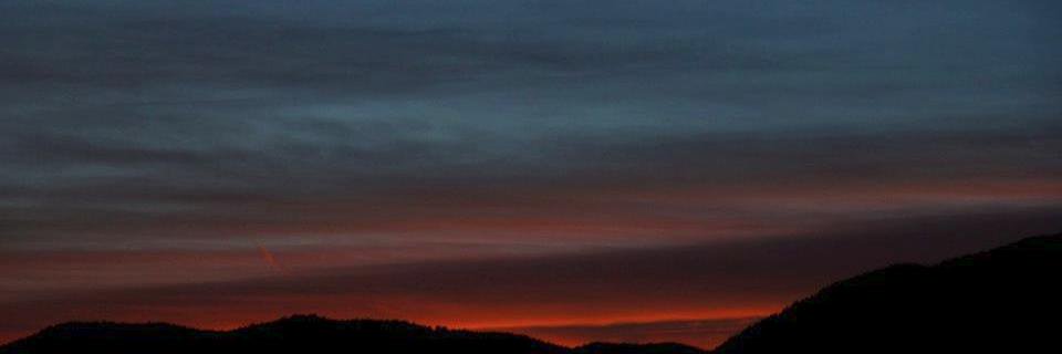 TrishaK55's profile banner image