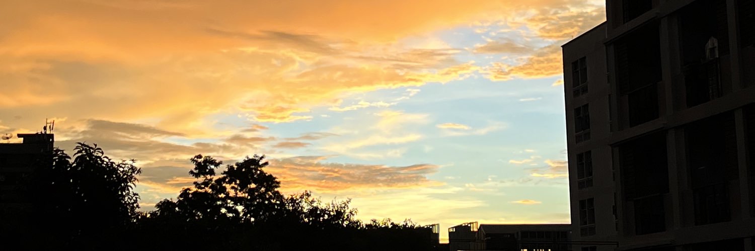 toeyshows's profile banner image