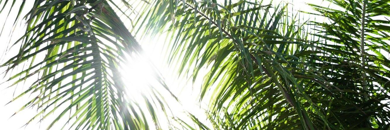 mmukso's profile banner image