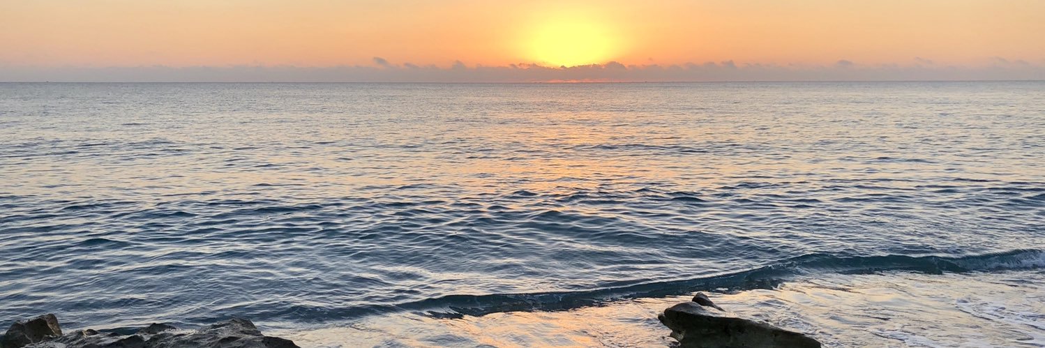 Stephanie Bray banner