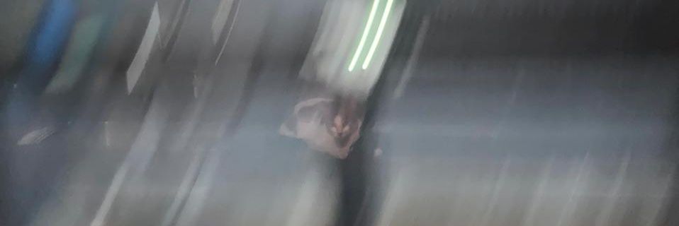 rakunkukun's profile banner image