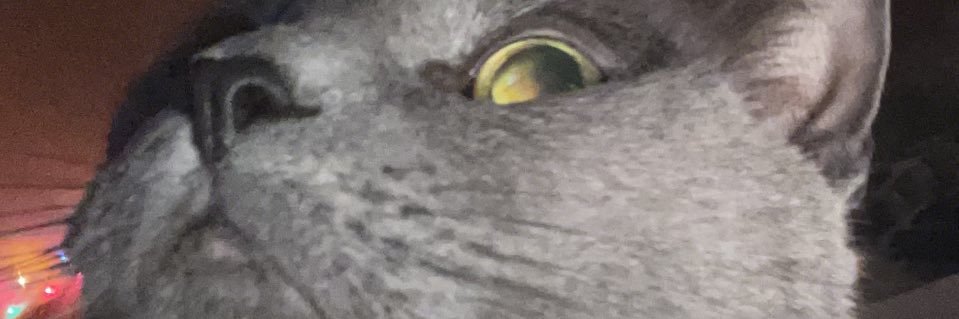 Heidi banner
