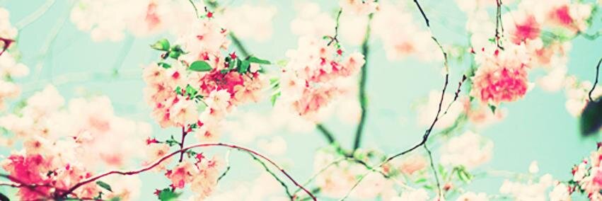 WonderlandEmii's profile banner image