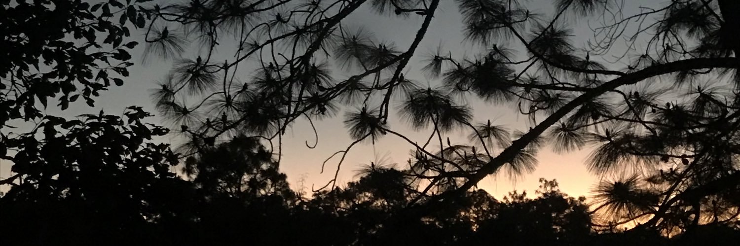 XiadaniCm's profile banner image