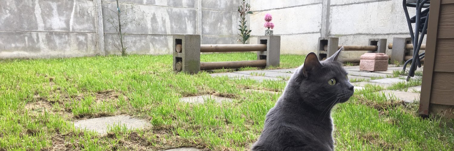 PaoAleAlejandra's profile banner image