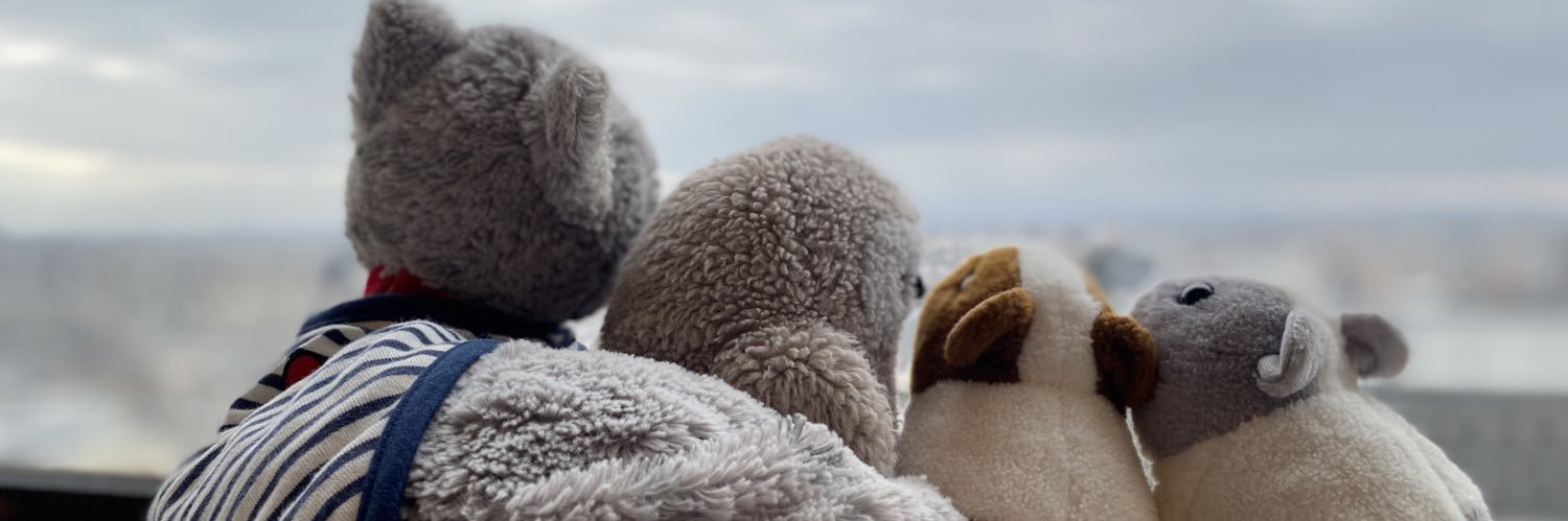 ankimoo's profile banner image