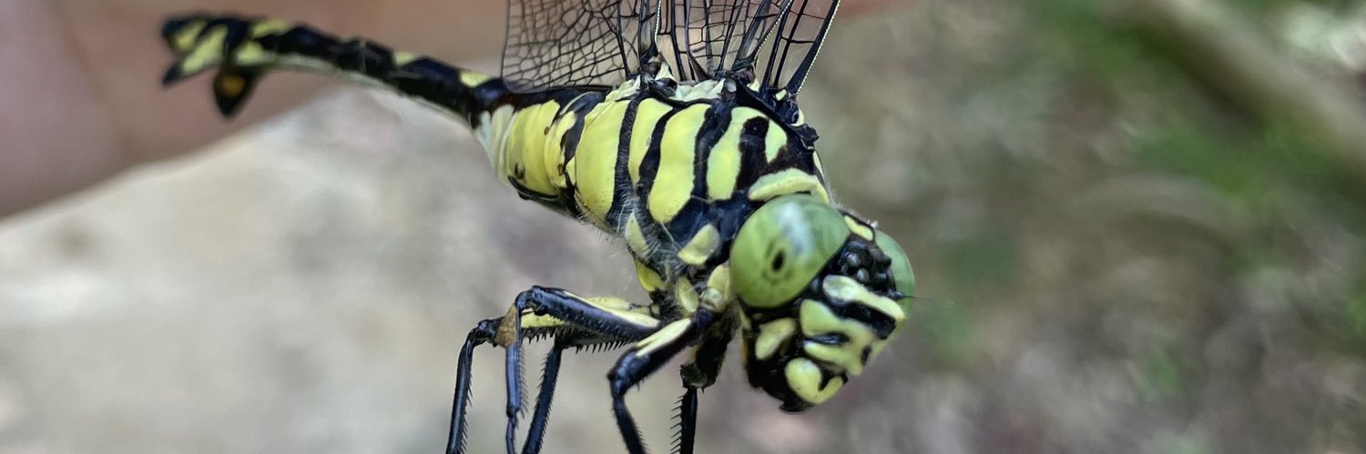 マックサイクルズ banner