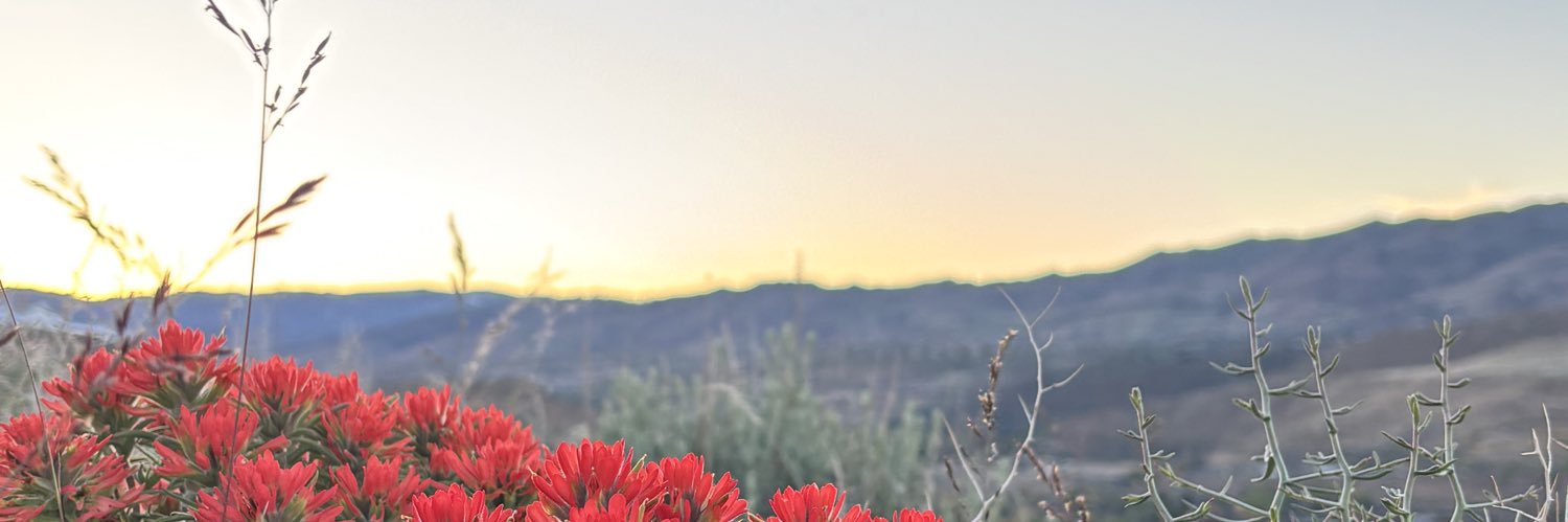 ohfuhyum's profile banner image