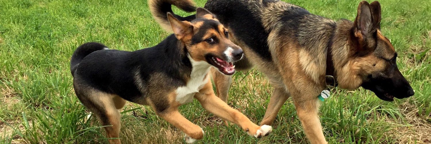 leaheegee's profile banner image