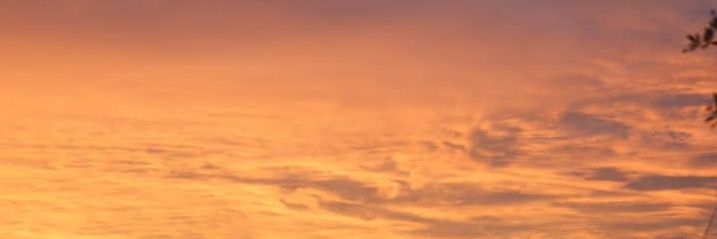 2113om's profile banner image