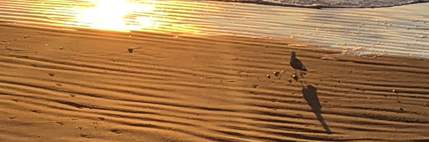 tanshio_ banner