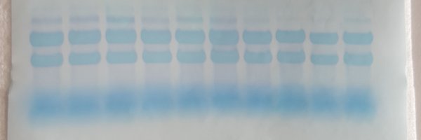 grzechnik_pawel Profile Banner