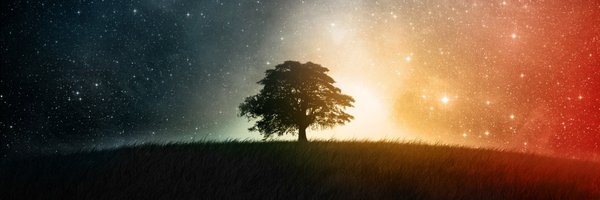 fahadmullaji01 Profile Banner