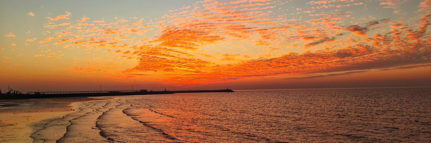 🅿️🅰️RH🅰️Ⓜ️ banner