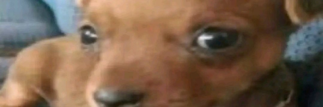 zeitgust's profile banner image