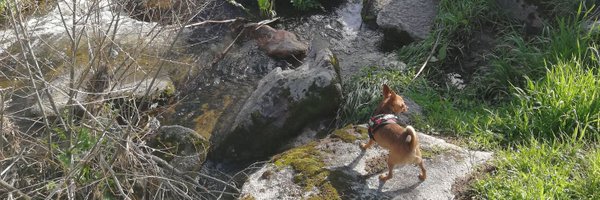 CaleroCL Profile Banner