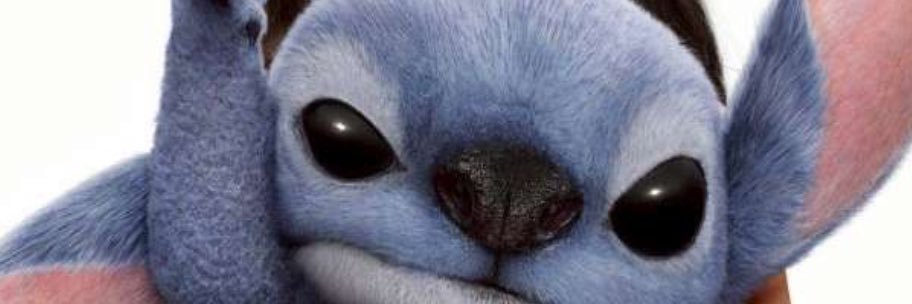 alluur's profile banner image