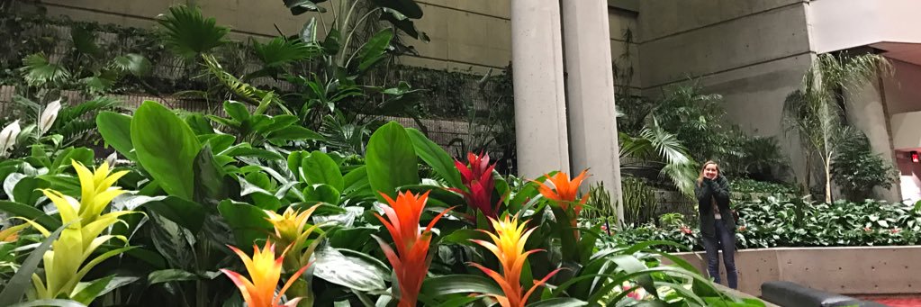 oldsmokyclothes's profile banner image