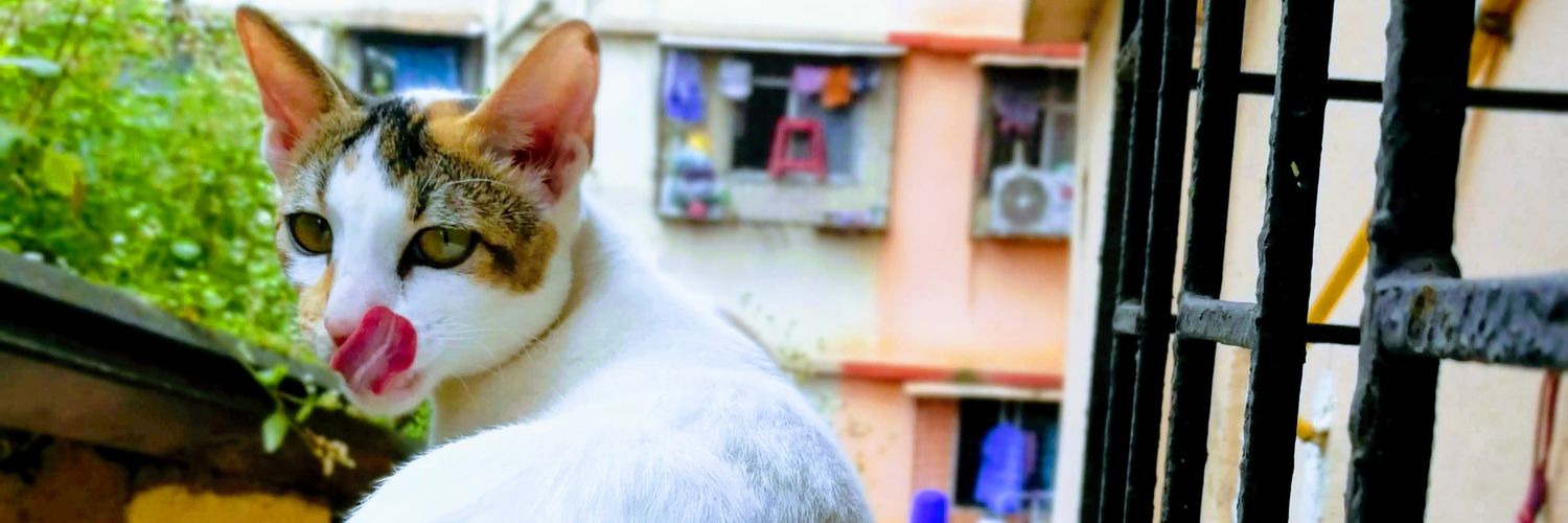 🐦Sameer🐦 banner