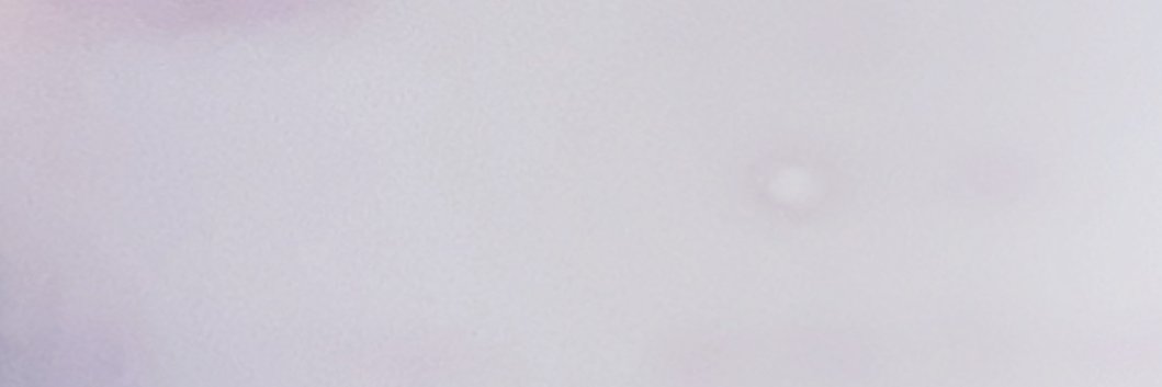 Bailey banner