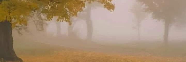 Gujjar126's profile banner image