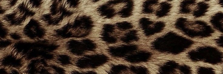 Issa__G's profile banner image