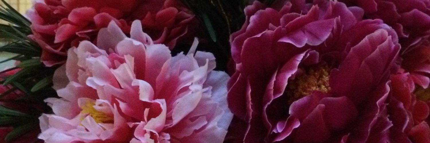 picopi017's profile banner image