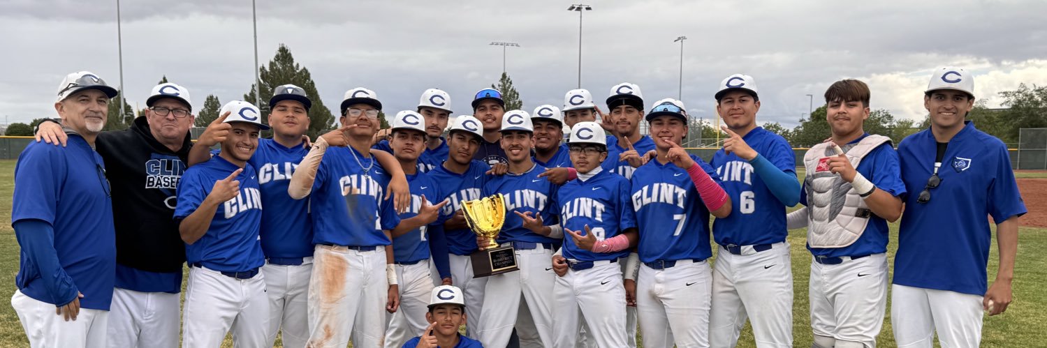 Clint Lions Baseball banner