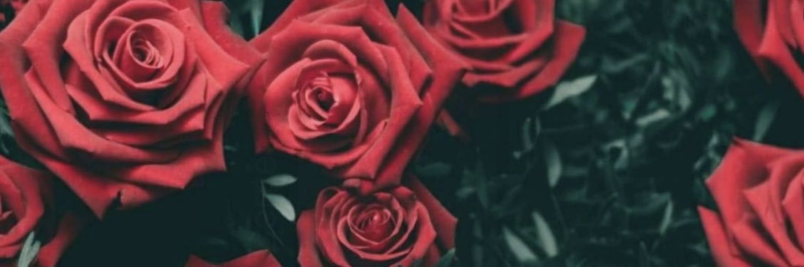 Holden Hiscock banner