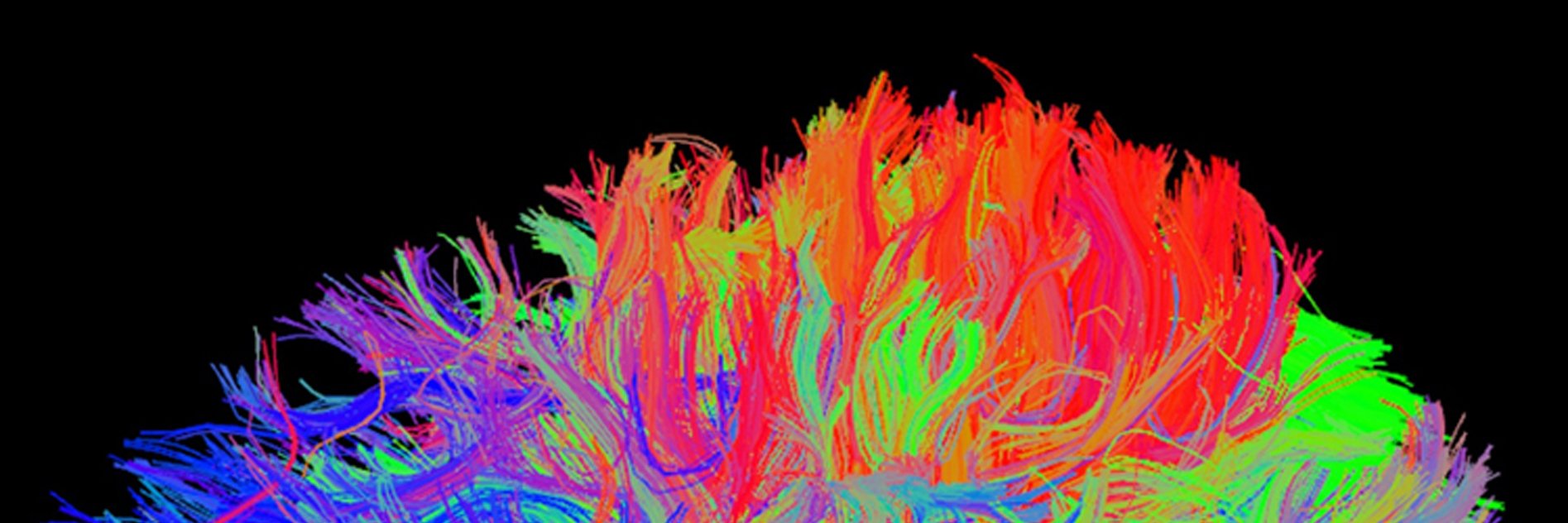 WCM Neurogenetics banner